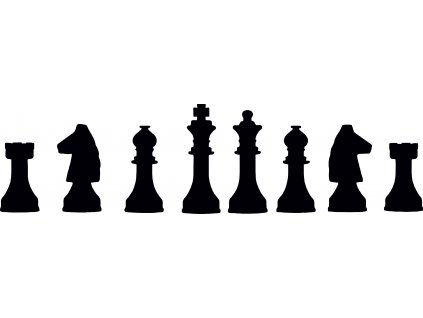 386 D šachy