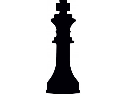 390 BD šachy král