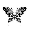 Motýl - plastová šablona 093