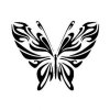 Motýl - plastová šablona 158