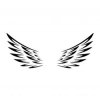 Andělská křídla - plastová šablona 257