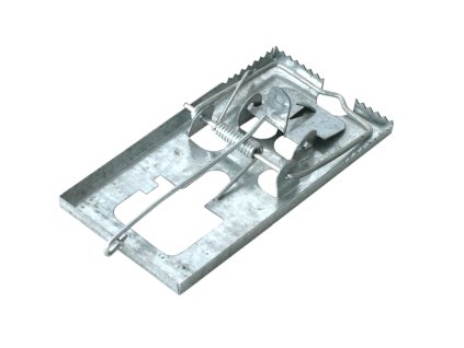 8ba419c4ce52dff503283b83fafc2d95