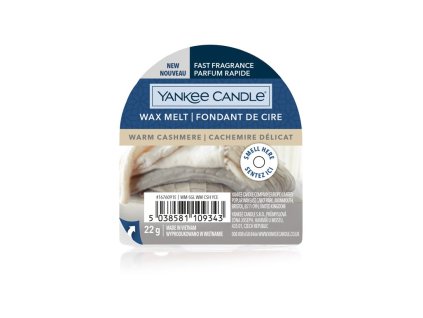 Yankee Candle vosk 22g