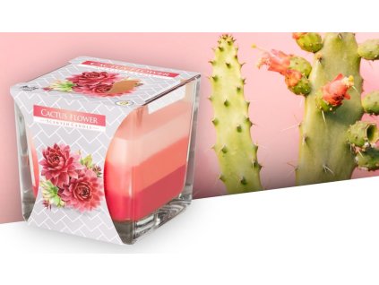 1311487 bispol tribarevna vonna svicka ve skle cactus flower 170g