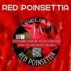 Red Poinsettia