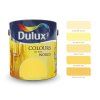 CAN DLX COLOURCHIP 1080x1080 CZ cejlon