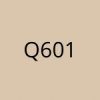 Q601