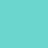 Montana BLUE 5420 Shining Mint