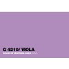 G4210 Viola
