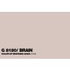 G8180 Brain