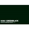 6080 WHITE COLOR Greenblack