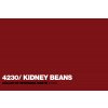 4230 WHITE COLOR KidneyBeans