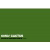 6050 WHITE COLOR Cactus