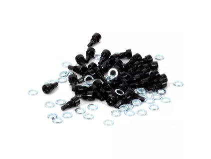 RACE FACE náhradní díl SPARE PIN SET AEFFECT R 40ks