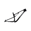 Rocky Mountain Element Carbon Frame C2 M