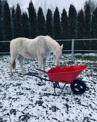 Môže mať furik príbeh? a ešte taky vianočný? 🤔 no Môže 😄🎄✨️❄️ Tak si ho prečitajte. 😊😏Par riadkov od našej zákazníčky:...