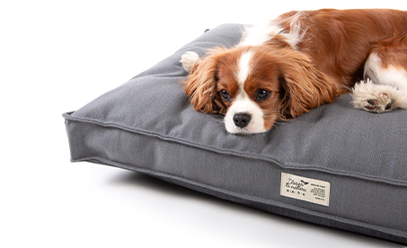 BASE matrace RENATURE