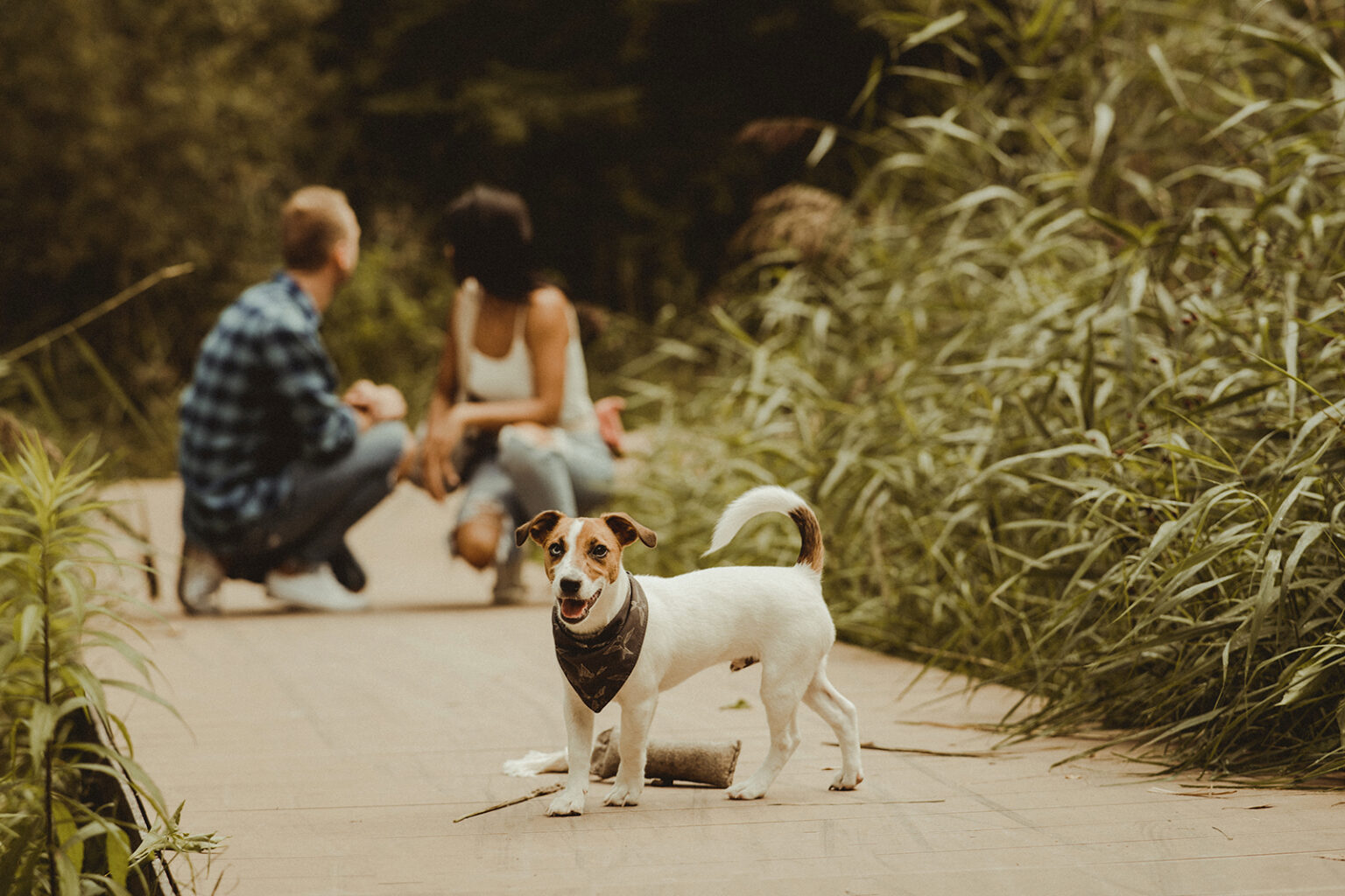 O značce BASE – rodinný příběh a kvalita