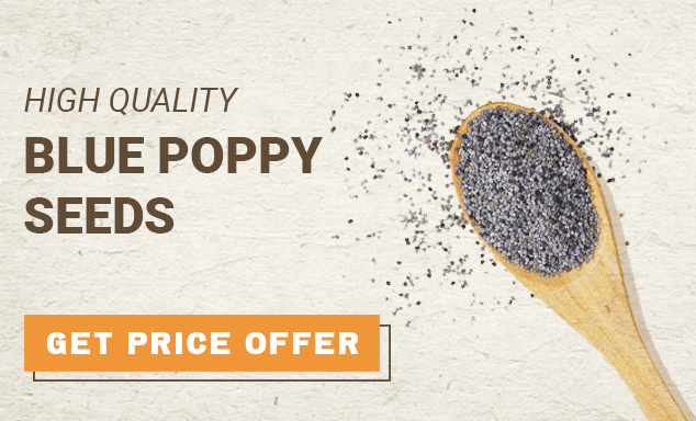 Blue Poppy Seeds | Get quote | Basis Foods | Trade EU