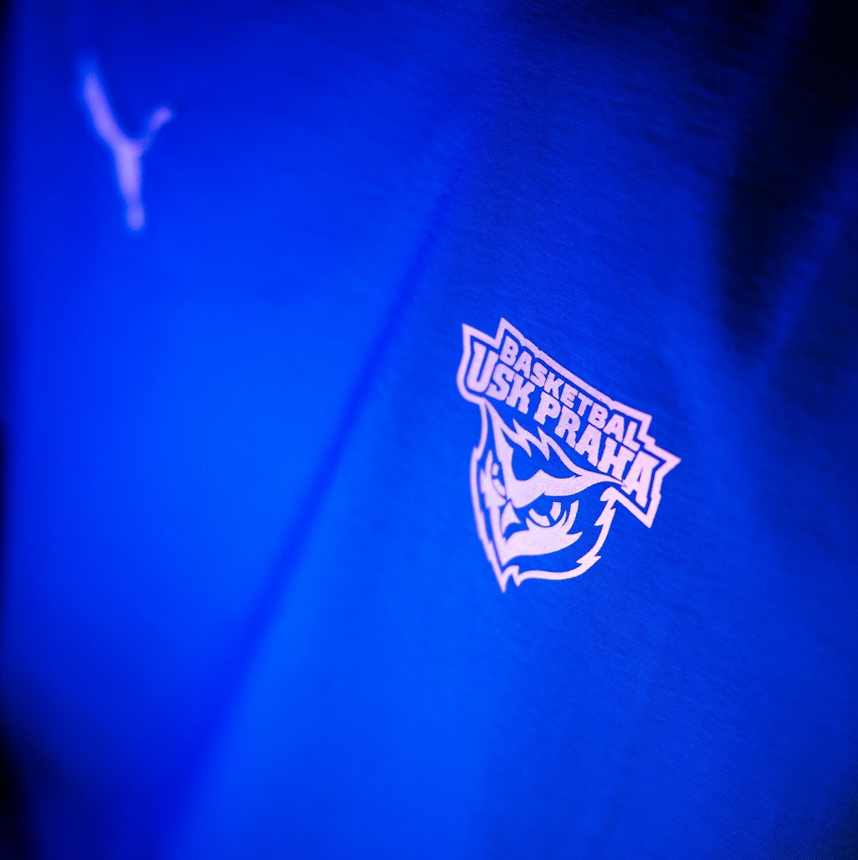 Puma teamGOAL Casuals Tee USK Dunk Velikost oblečení: 3XL