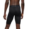 Air Jordan Dri-Fit Air Shorts