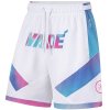 Li-Ning Wade Basketball Shorts