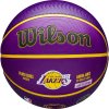 Wilson NBA Player Icon Outdoor LeBron - Size 7
