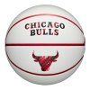 Bulls1 (3)