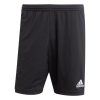 adidas4