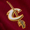 cavsswingshortsB