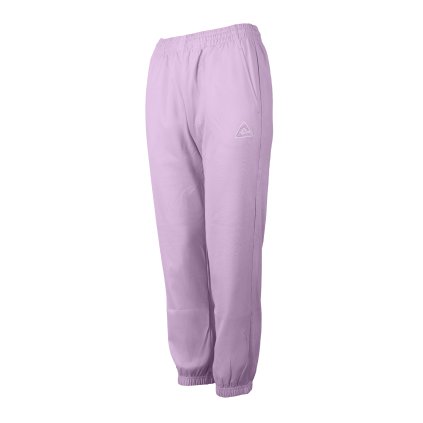 FW3242078 PULS