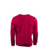 FW61397x REDD.A