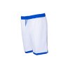 FW95036 WBLE.A