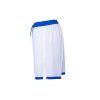 FW95036 WBLE.B