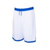 FW95039 WBLE.A