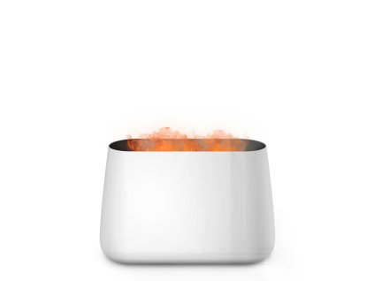 0b Stadler Form Ben White