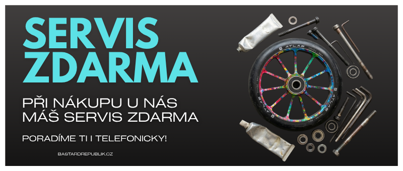 SERVIS