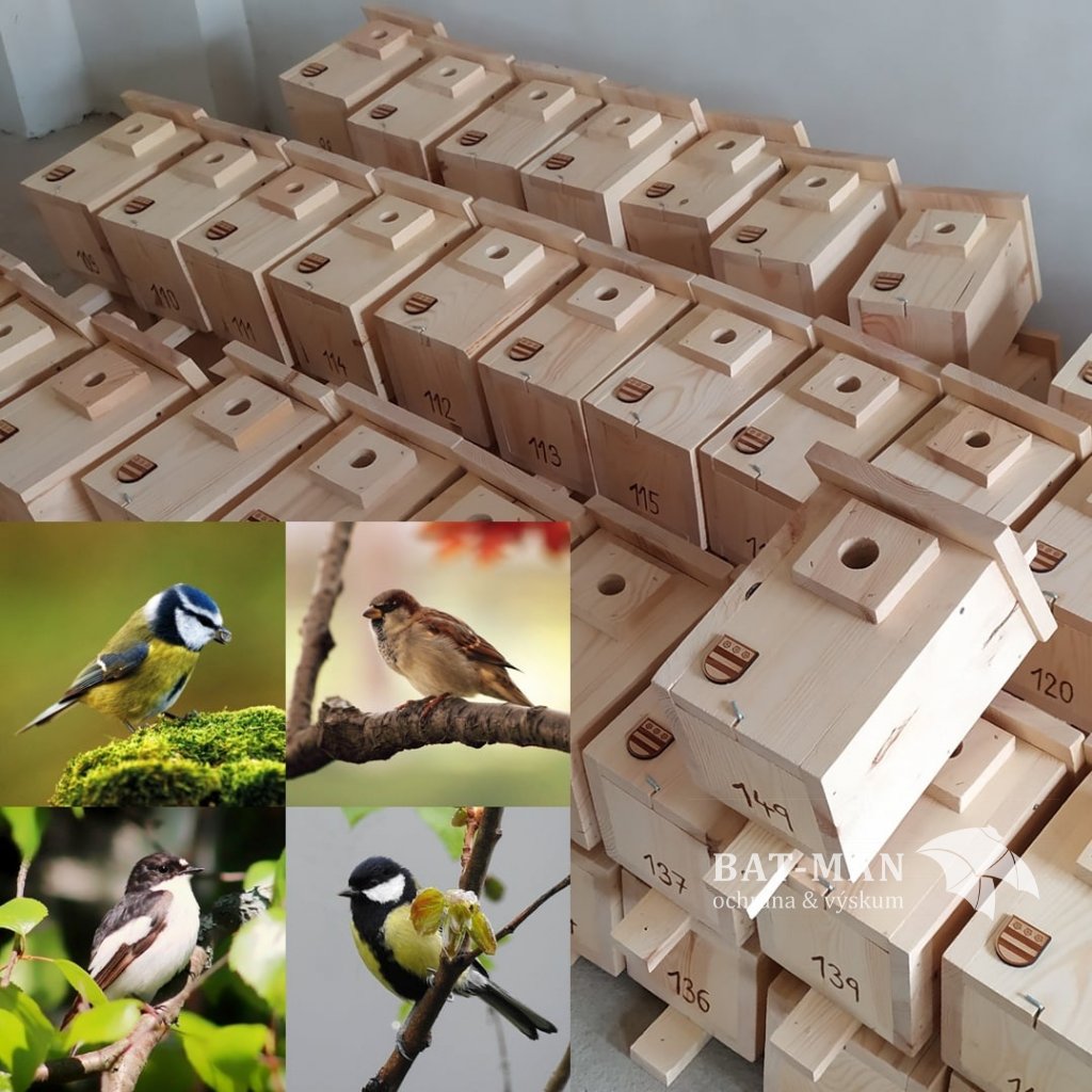 Set 20ks hniezdnych búdok BAT-MAN Parus pre sýkorky, drevo s priehľadným náterom