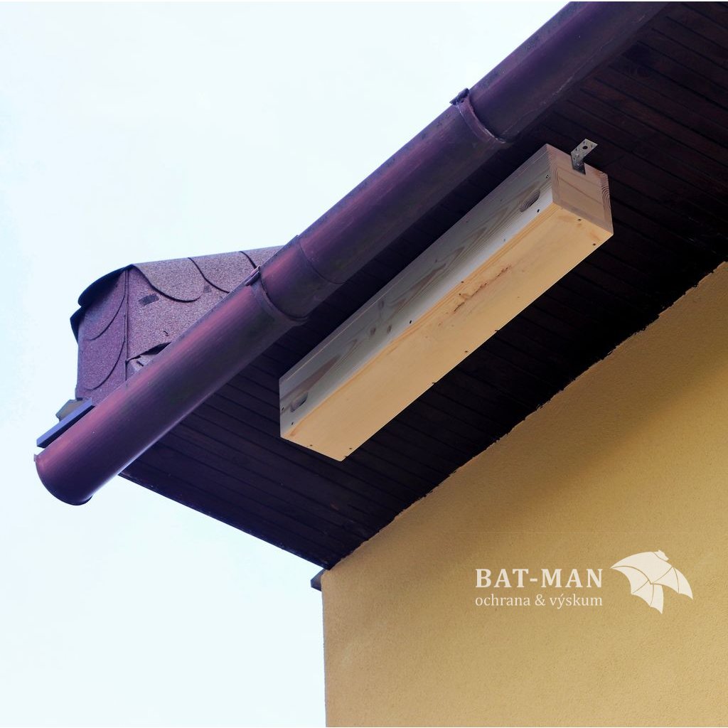 Hniezdna búdka pre vtáky BAT-MAN APUS2 DN dvojkomorová drevená prírodná pre dážďovníky