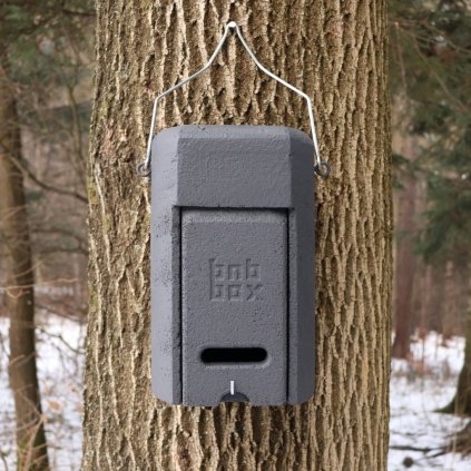 Búdka pre netopiere BNB Box BT-3AA dutinová, antracitová