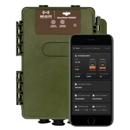 Song Meter SM5BAT With Phone