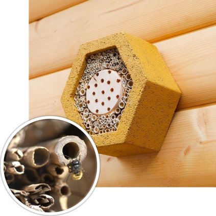 Hmyzí domček BNB Box HDO-1 Mini Gold, drevobetón a trstina