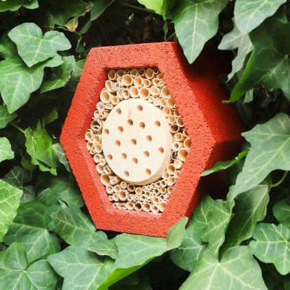Insect House BNB Box Mini Red
