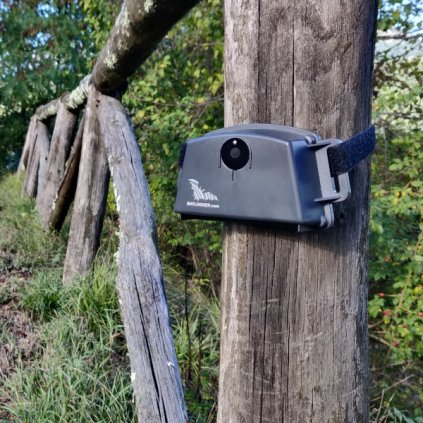 Ultrazvukový detektor na netopiere ELEKON Batlogger S2