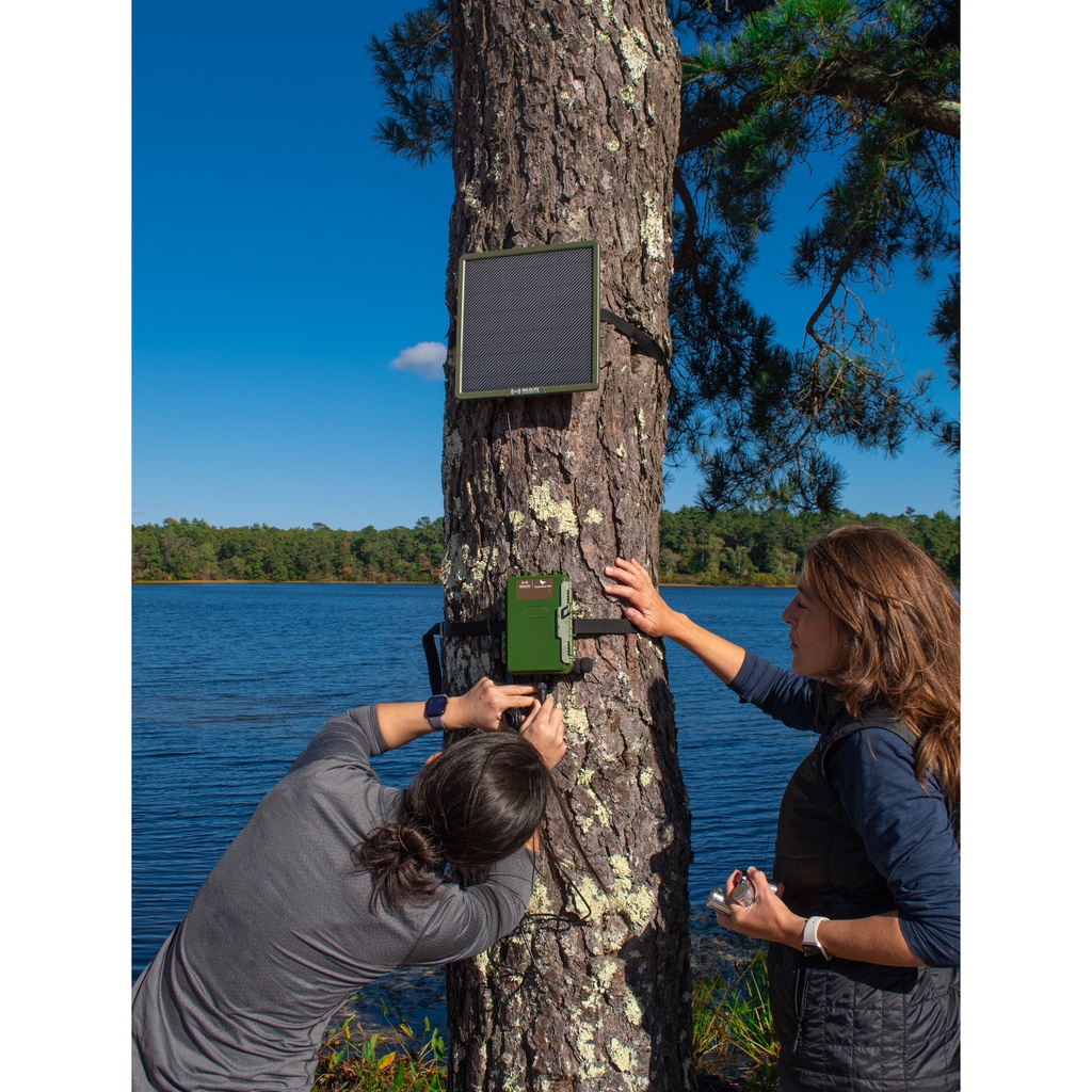 Wildlife Acoustics SONG METER SM5 Acoustic Recorder