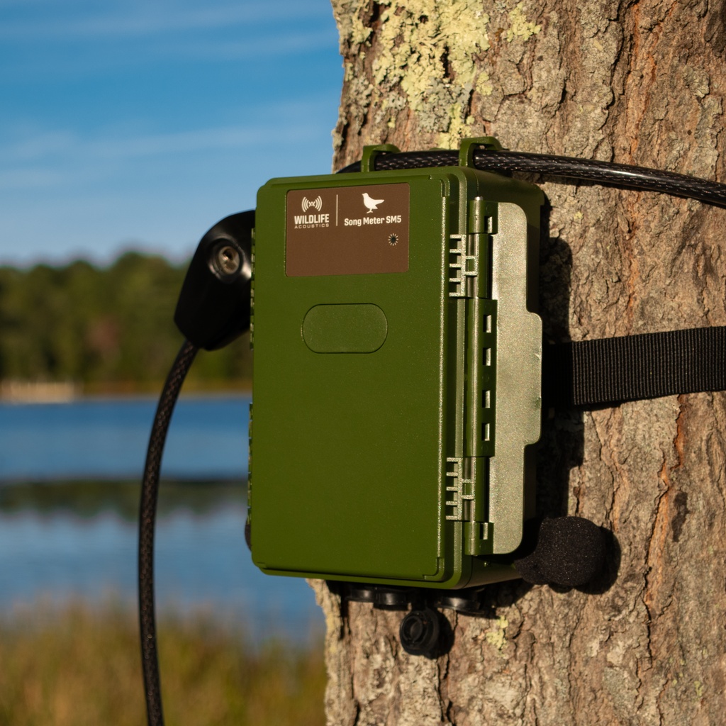 Wildlife Acoustics SONG METER SM5 Acoustic Recorder