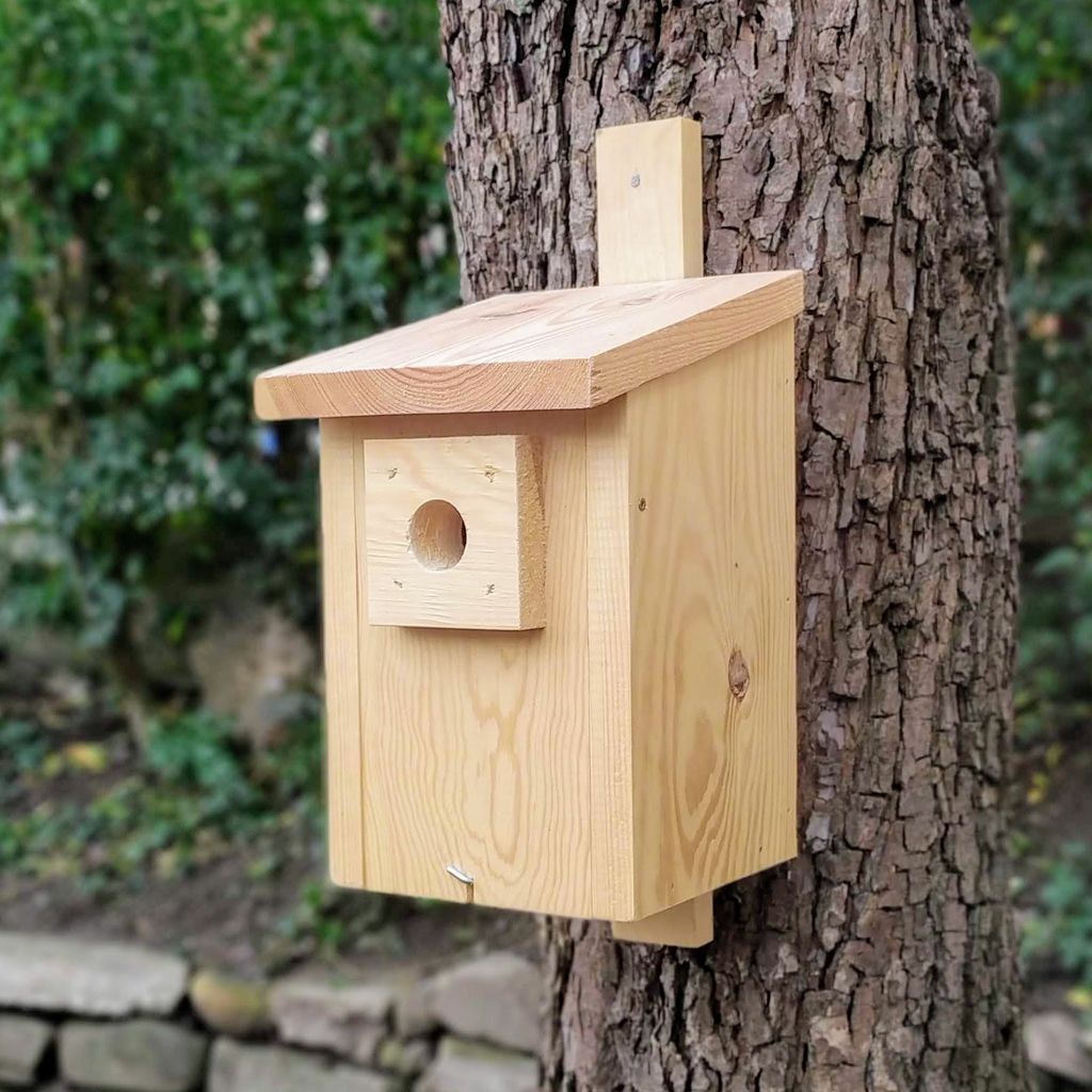 BAT-MAN Parus búdka pre sýkorky, otvor 32mm, borovica PA32D NA