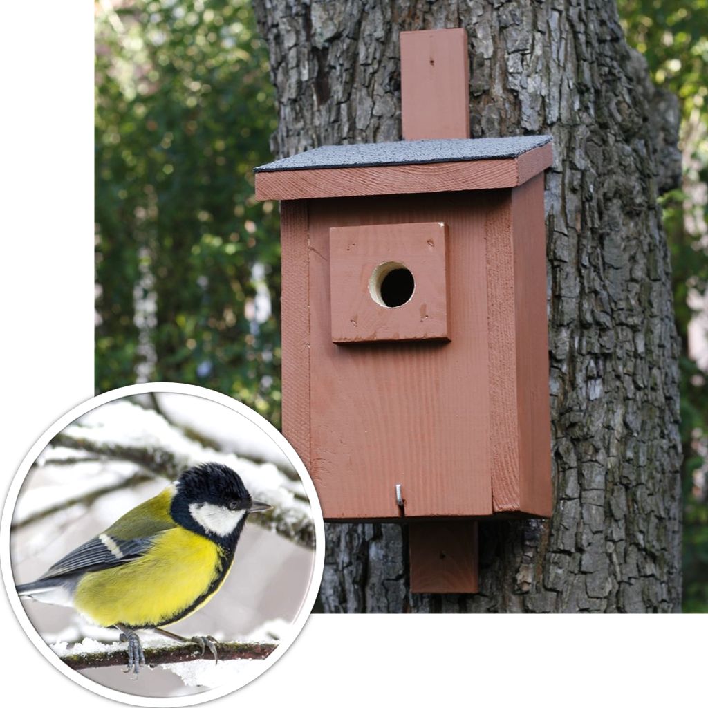 BAT-MAN Parus búdka pre sýkorky, otvor 32mm, borovica, hnedá, so strieškou PA32DF NA