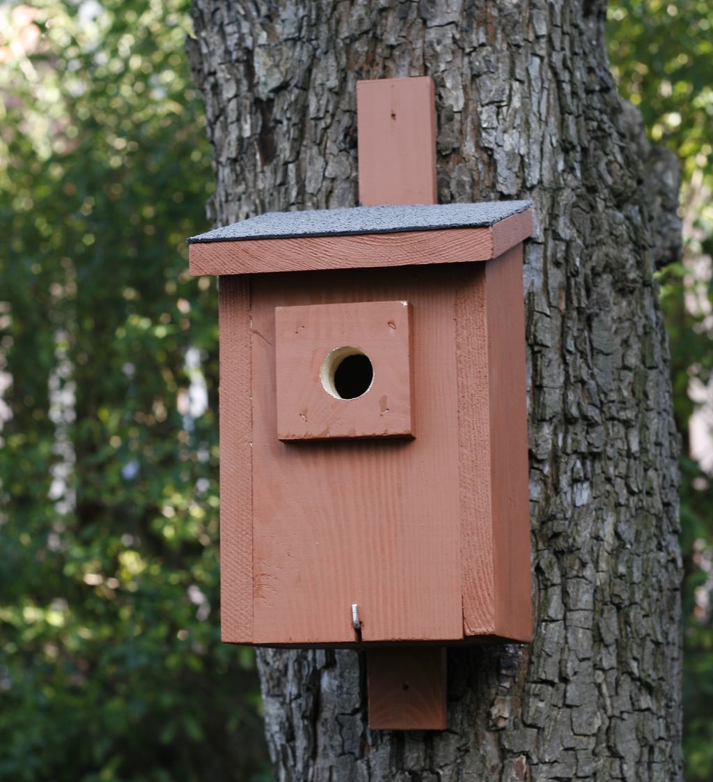 BAT-MAN Parus búdka pre sýkorky, otvor 32mm, borovica, hnedá, so strieškou PA32DF NA
