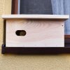 Nest box for swifts BAT-MAN ParaBox, natural wood
